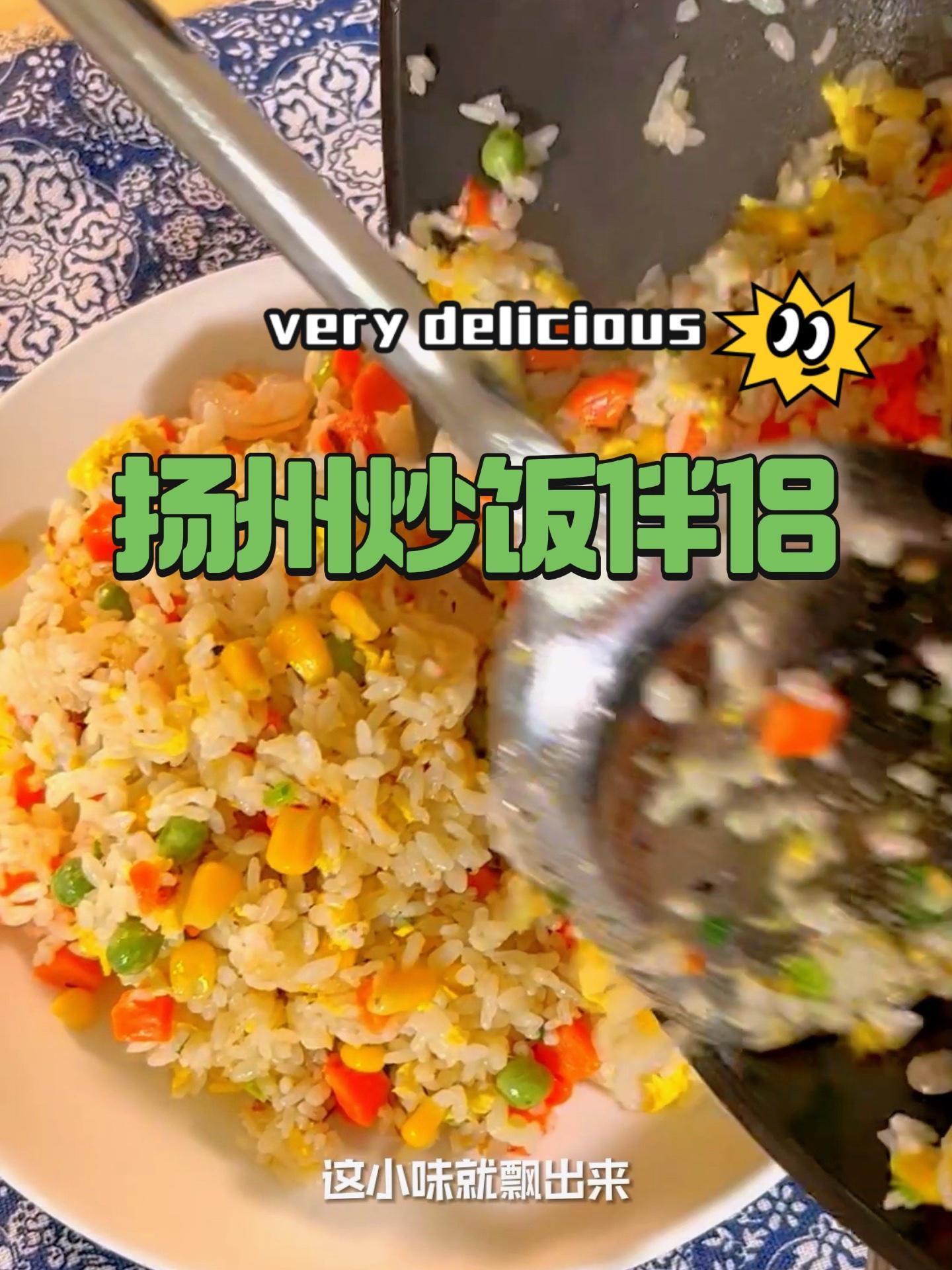 扬州炒饭伴侣 皮厨大叔美食 皮厨大叔好物推荐