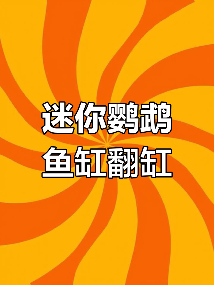 迷你鹦鹉鱼缸大清理,124条小鱼惊现!