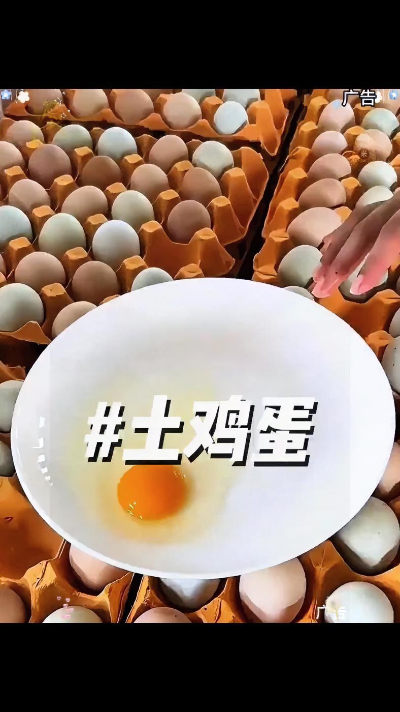 农村散养土鸡蛋 土鸡蛋 鸡蛋 超便宜超划算 散养土鸡蛋