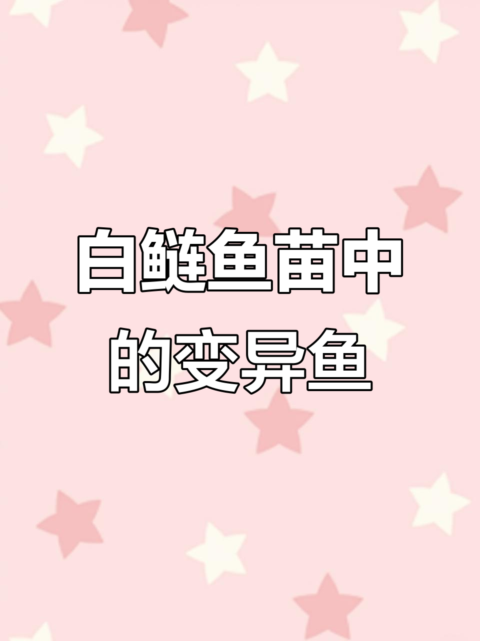 网上买白鲢鱼苗，竟然发现一条变异鱼！