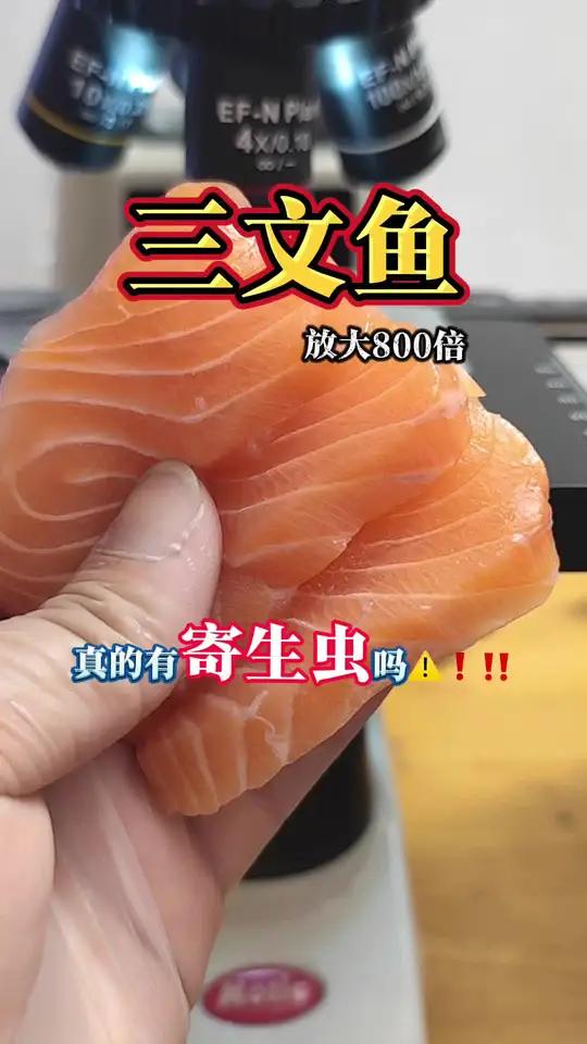 三文鱼真的有寄生虫吗？今天我们一起来看看！