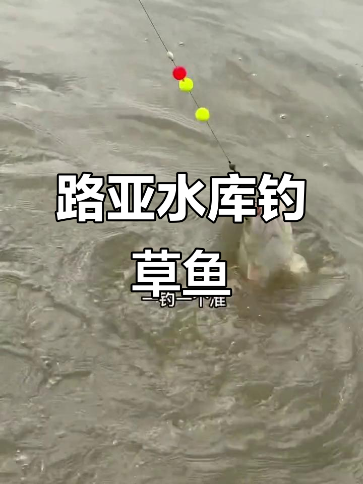 水库路亚草鱼技巧大揭秘，夜钓也能轻松上钩