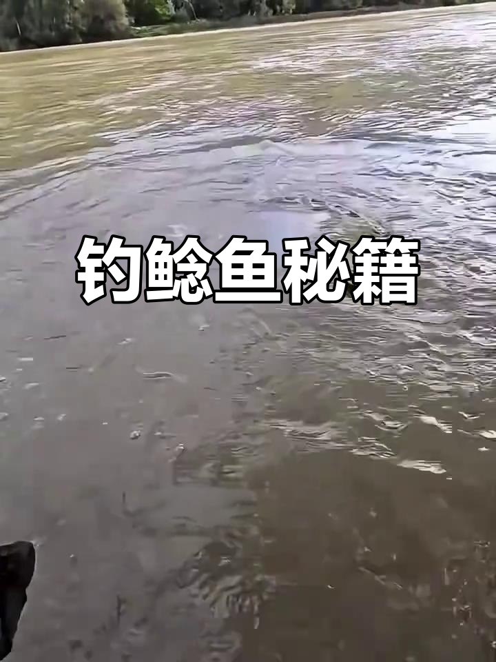钓鲶鱼必备饵料与技巧,轻松捕获大物!