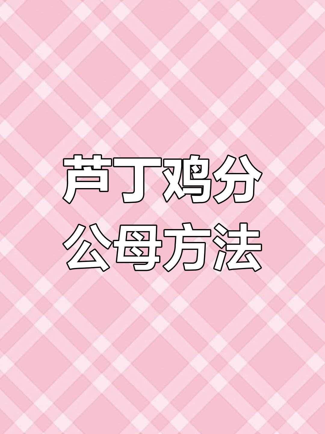 芦丁鸡公母分辨技巧全解析