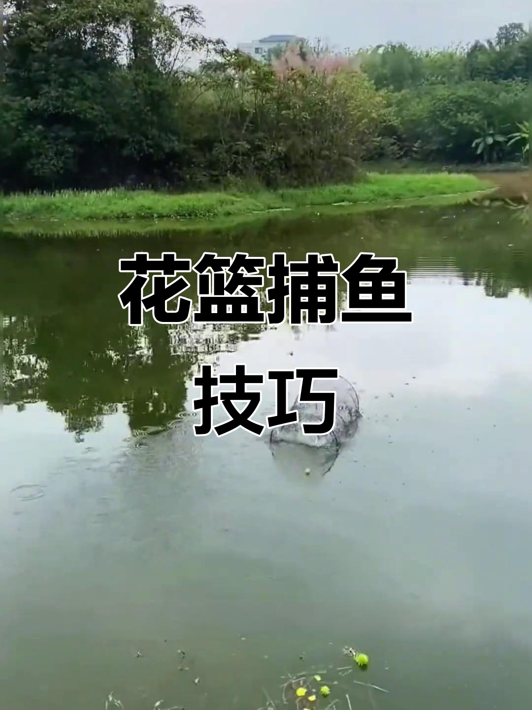 花篮捕鱼轻松上手,各种鱼类一网打尽!