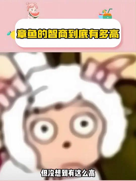 章鱼怎么能聪明成这样?!冷知识 章鱼 震惊