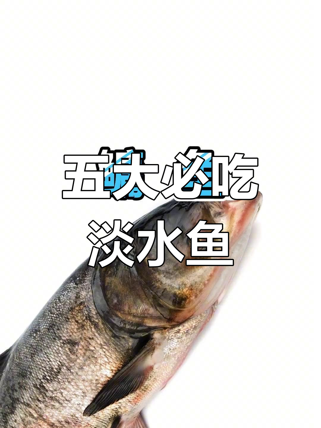 这五种淡水鱼,营养丰富值得常吃
