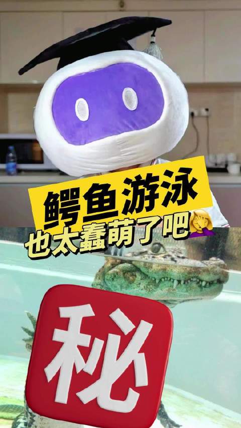 鳄鱼游泳也太蠢萌了吧!快来围观~ 神奇动物在微博 动物科普