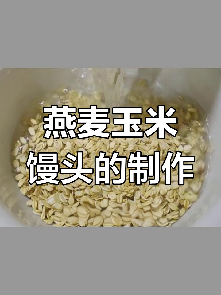 燕麦玉米面馒头,营养又好吃,做法超简单