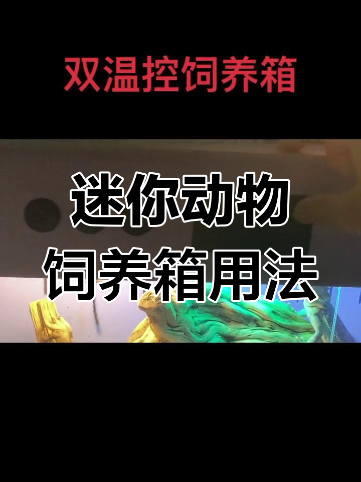 双温控保温箱使用指南