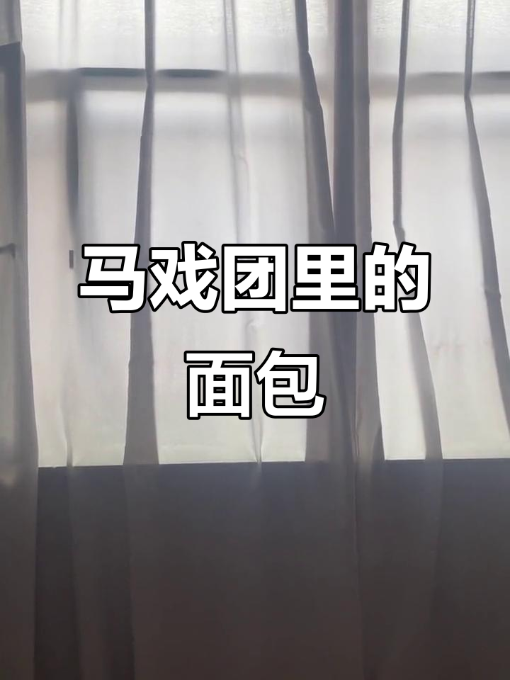面包与马戏团的奇妙之旅
