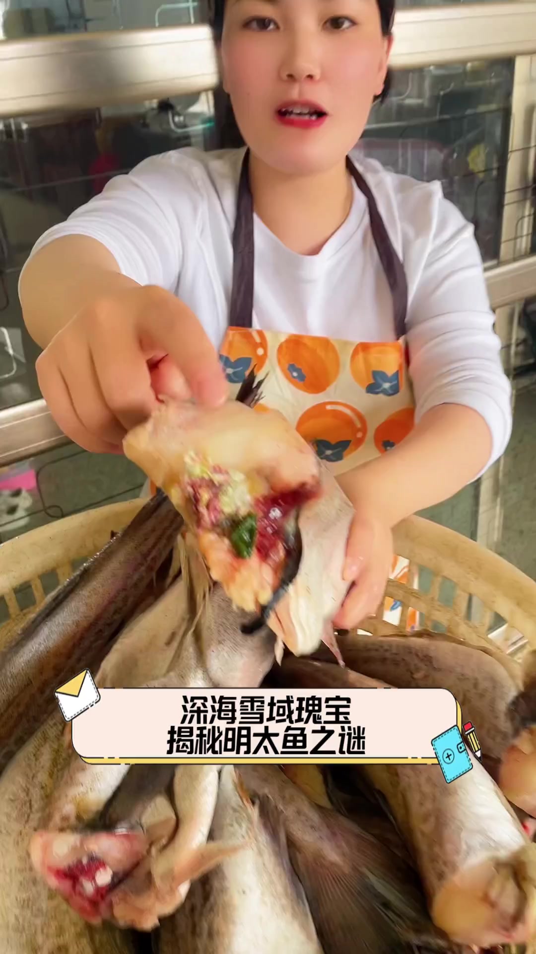 深海雪域瑰宝,揭秘明太鱼之谜