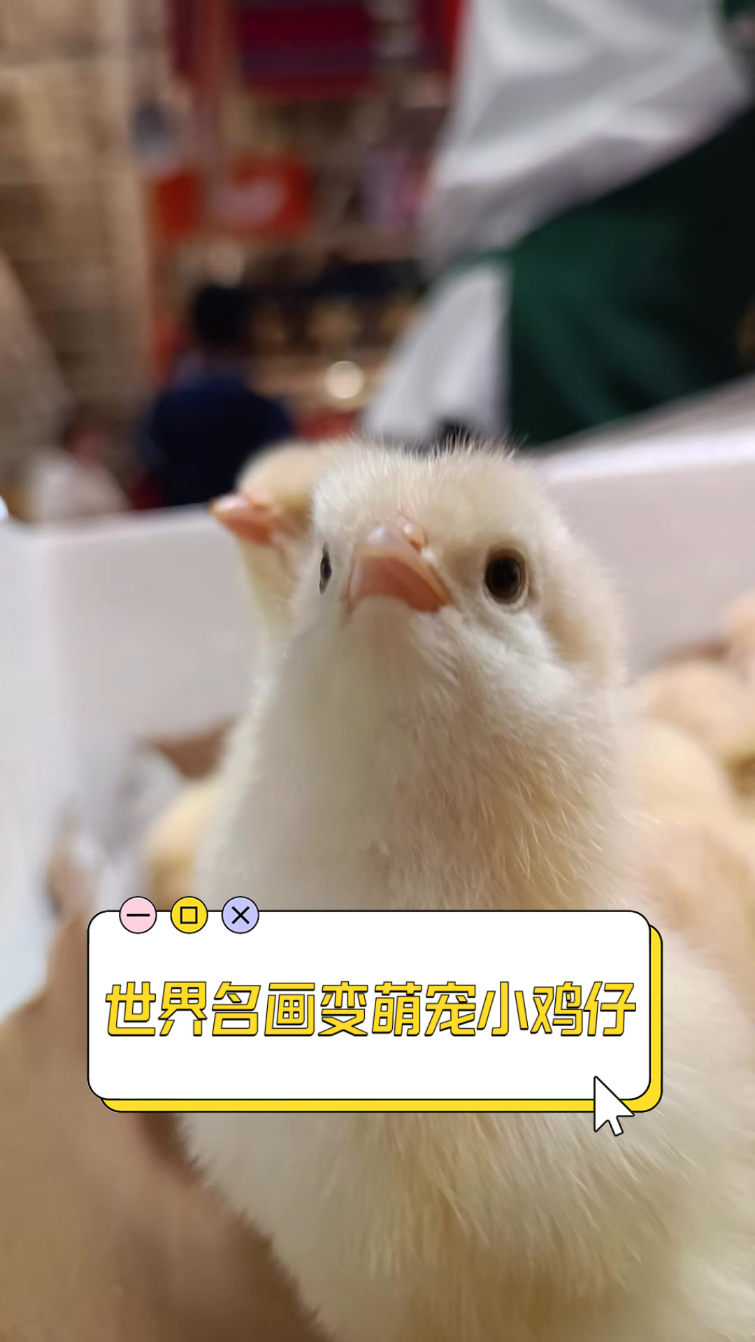 世界名画变萌宠小鸡仔