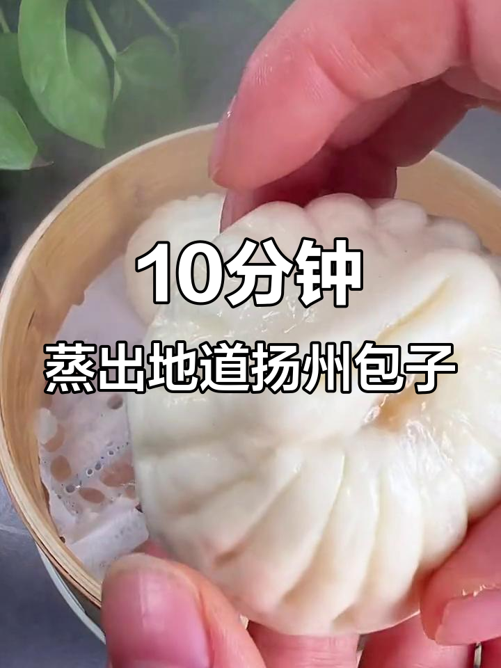 扬州包子蒸十分钟,鲜肉青菜一包搞定,老人孩子都爱吃