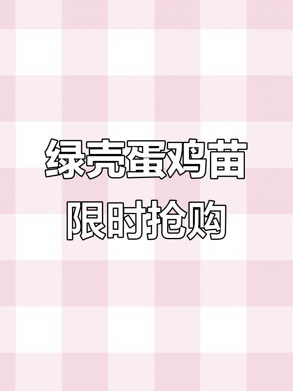 绿壳蛋鸡苗数量有限,12号早上先到先得!