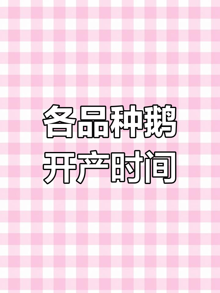 鹅蛋产量大揭秘:不同品种下蛋时间与数量对比