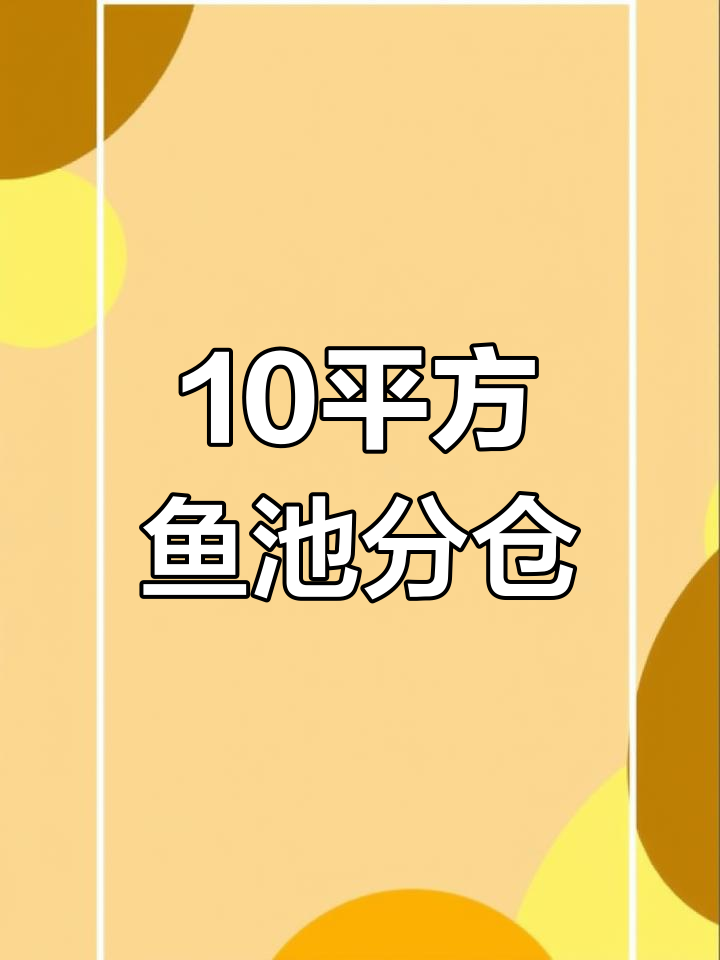 10平米鱼池如何设计6个仓位