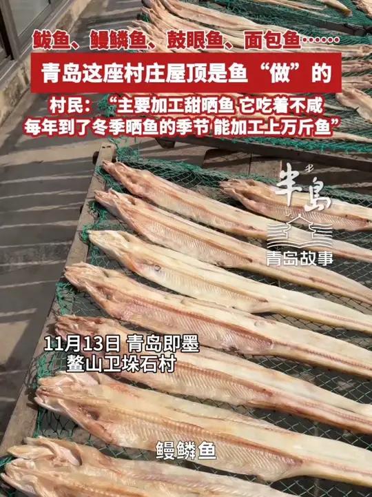 鲅鱼、鳗鳞鱼、鼓眼鱼、面包鱼……青岛这座村庄屋顶是“鱼”做的，村民：“主要加工甜晒鱼，它吃