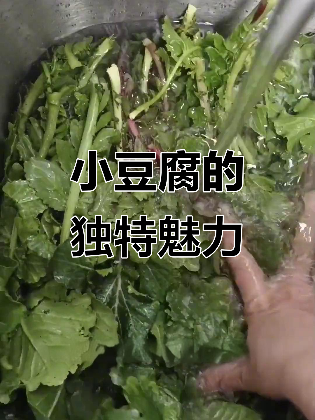 泰山小豆腐,绿菜叶一网打尽,山东特色美味!
