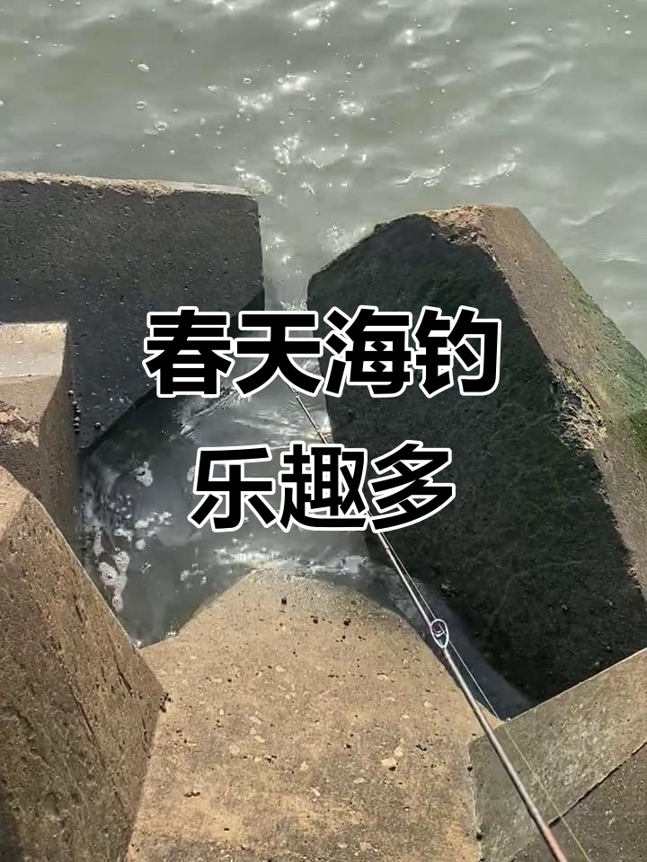 海钓大挑战,海鱼疯狂咬钩!