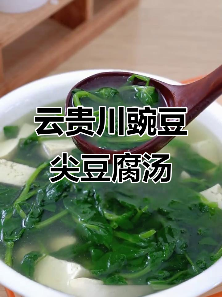 云贵川家乡味,豌豆尖豆腐汤暖心又解腻