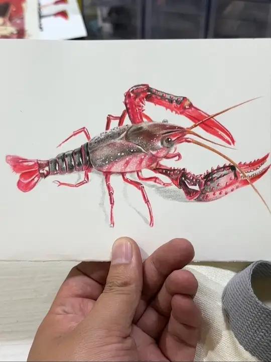 简单彩铅龙虾 彩铅龙虾画法