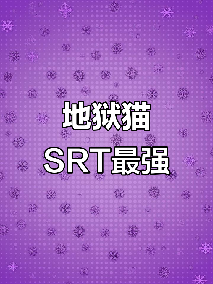 兄弟,地狱猫SRT才是最强的选择!