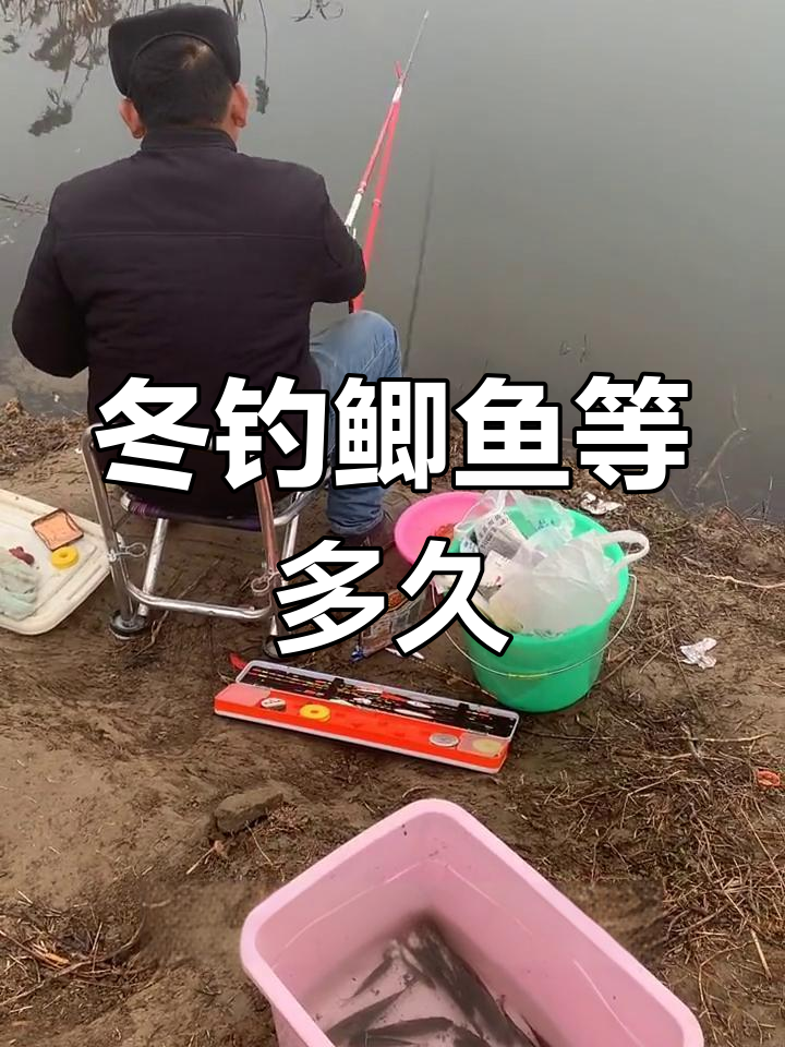 冬季钓鲫鱼打窝后多久能发窝