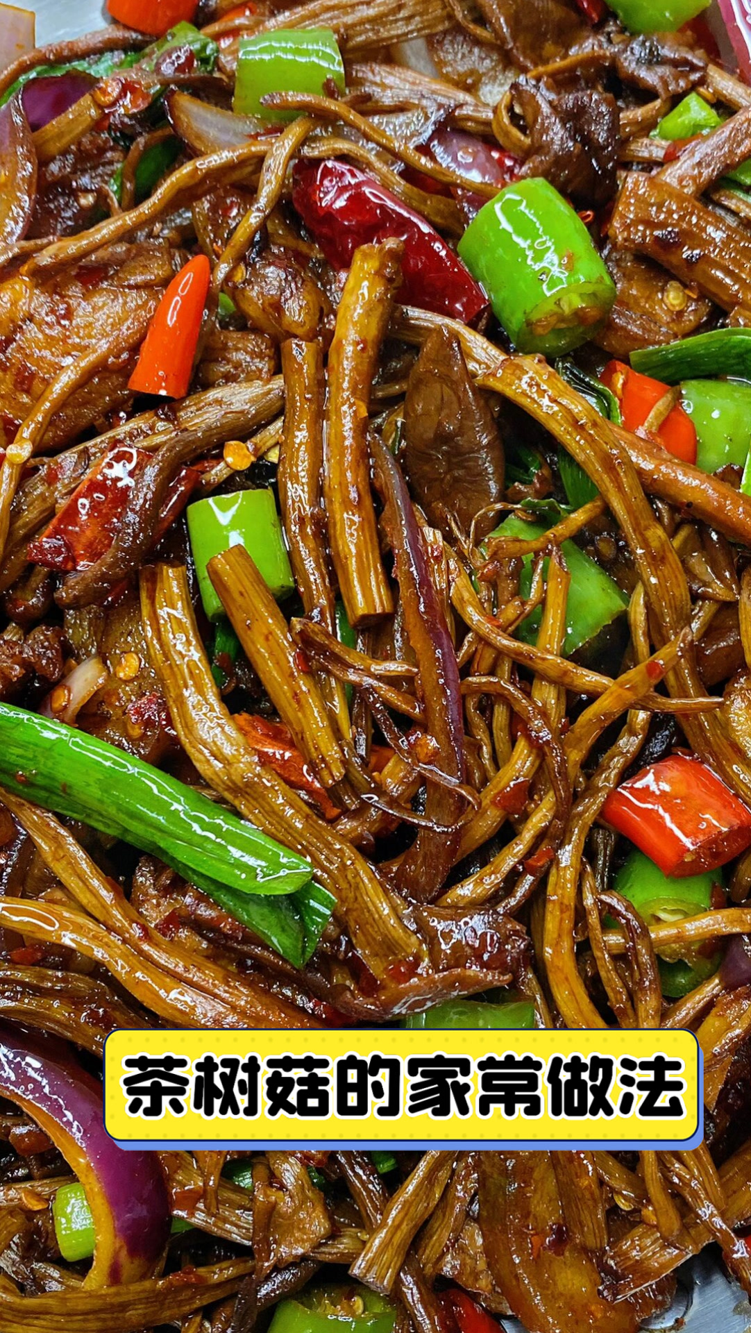 茶树菇的家常做法