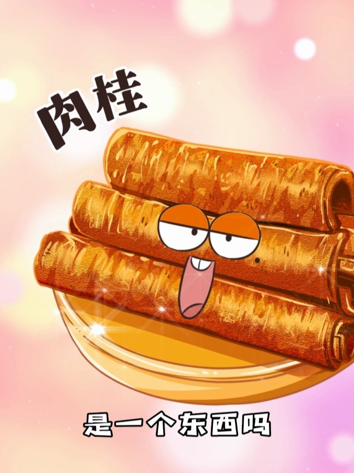 肉桂和炖肉的桂皮是一个东西吗?