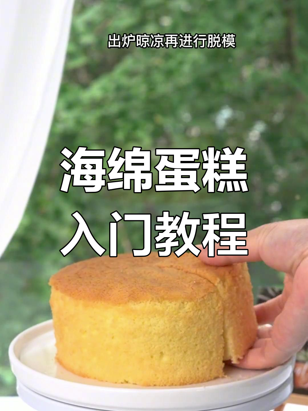 海绵蛋糕轻松做,松软不塌陷,奶油装饰完美支撑!