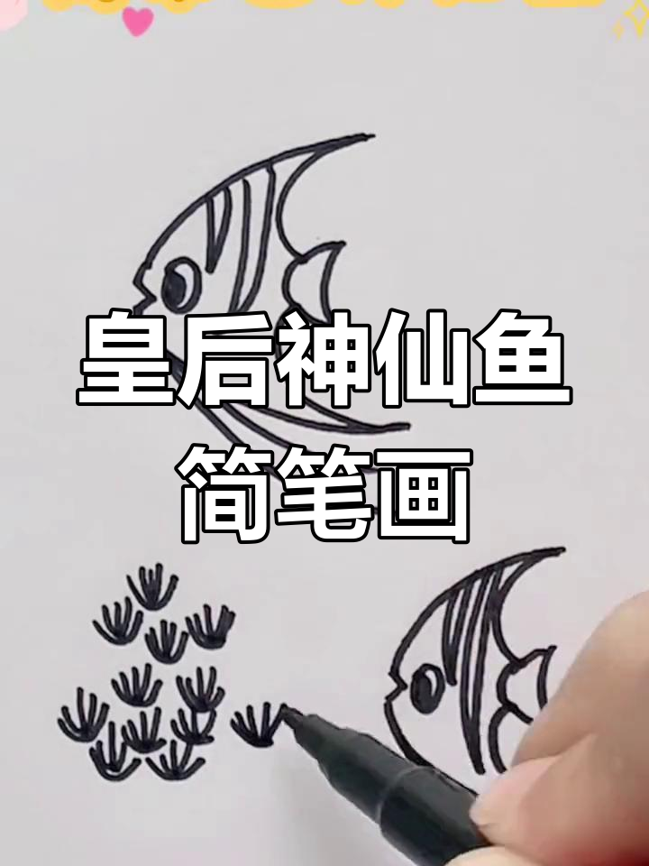轻松学画皇后神仙鱼,简单又有趣