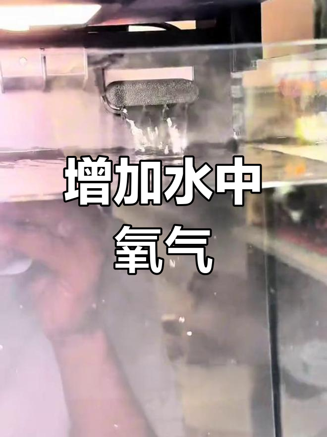 小米鱼缸瀑布出水口改造,提升溶氧效果