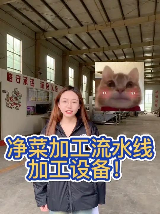 净菜加工流水线你了解了吗