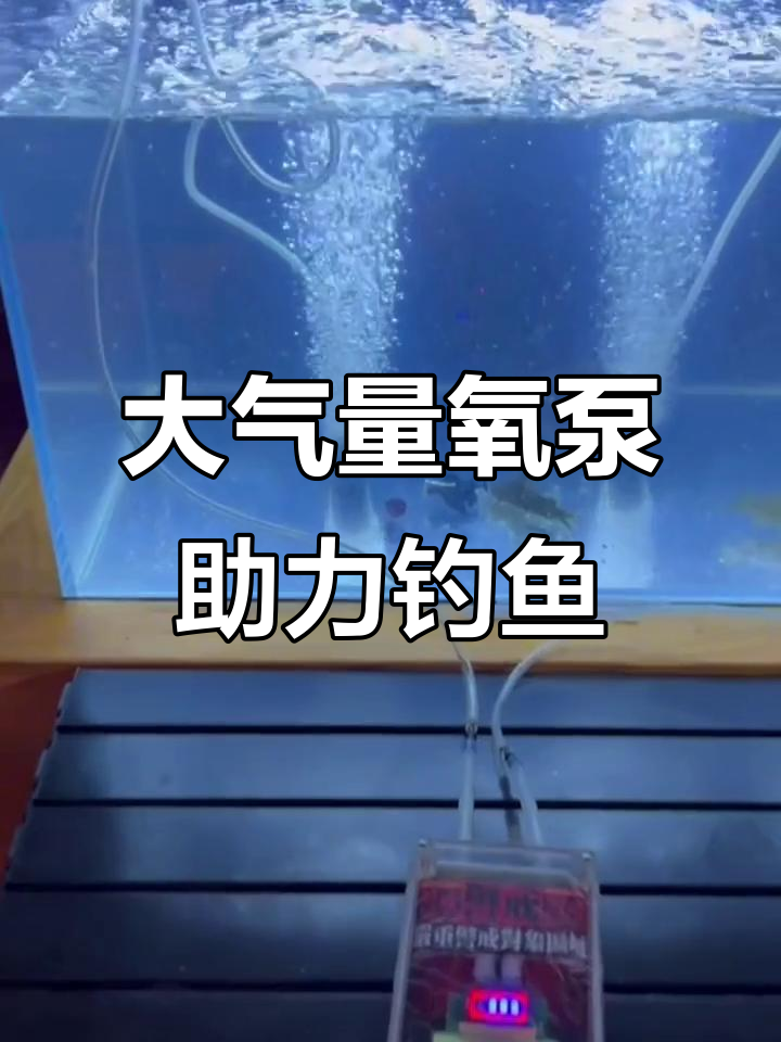 钓鱼必备大气量氧气泵,轻松应对爆户情况