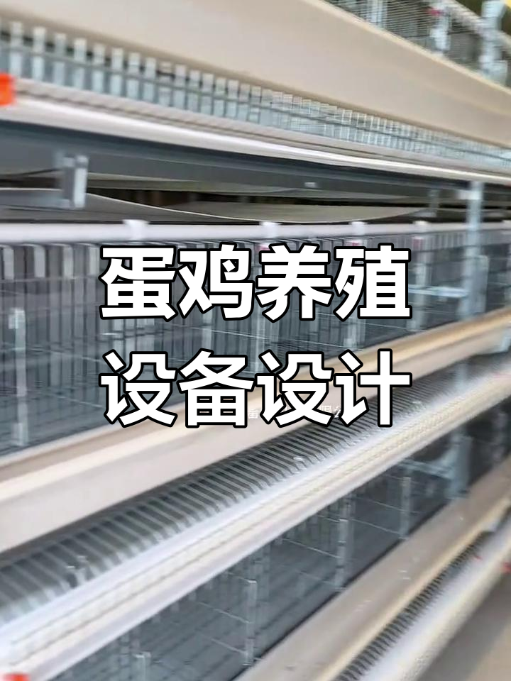 如何设计最大化蛋鸡养殖棚