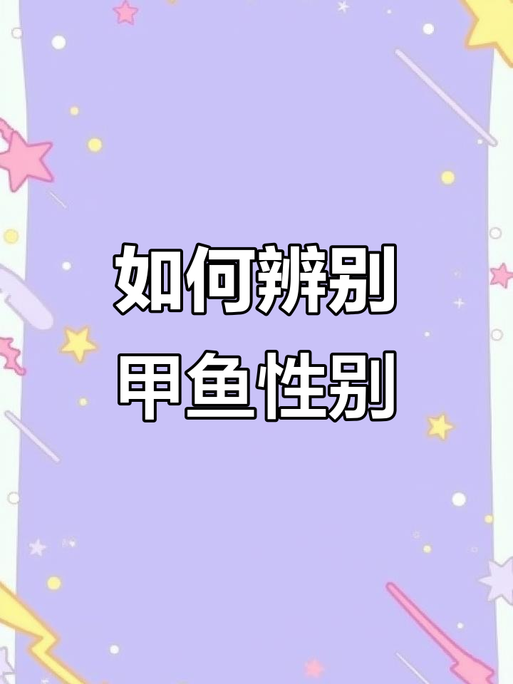甲鱼公母分辨小技巧,尾巴一比就知道