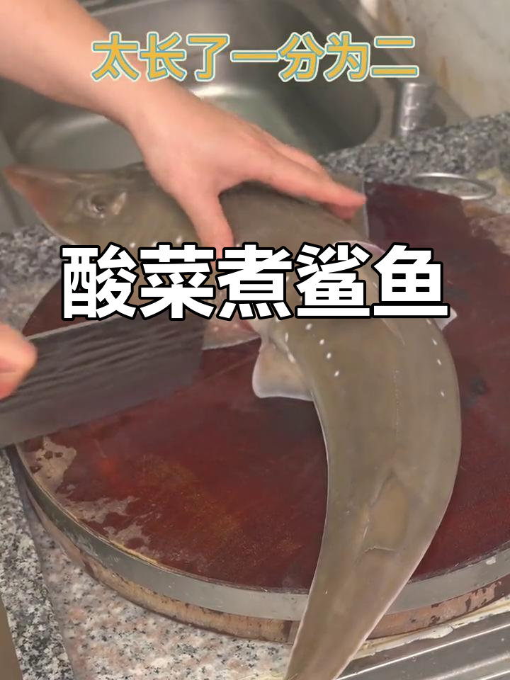 酸菜与鲨鱼,潮汕风味新体验