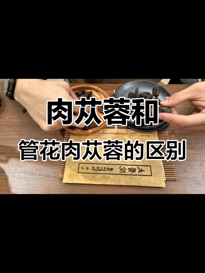 内蒙古与新疆肉苁蓉大揭秘：如何区分两种药材