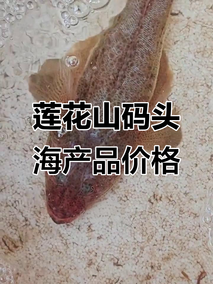 2026年广州莲花山码头海鲜市场:河鲜鱼类大揭秘