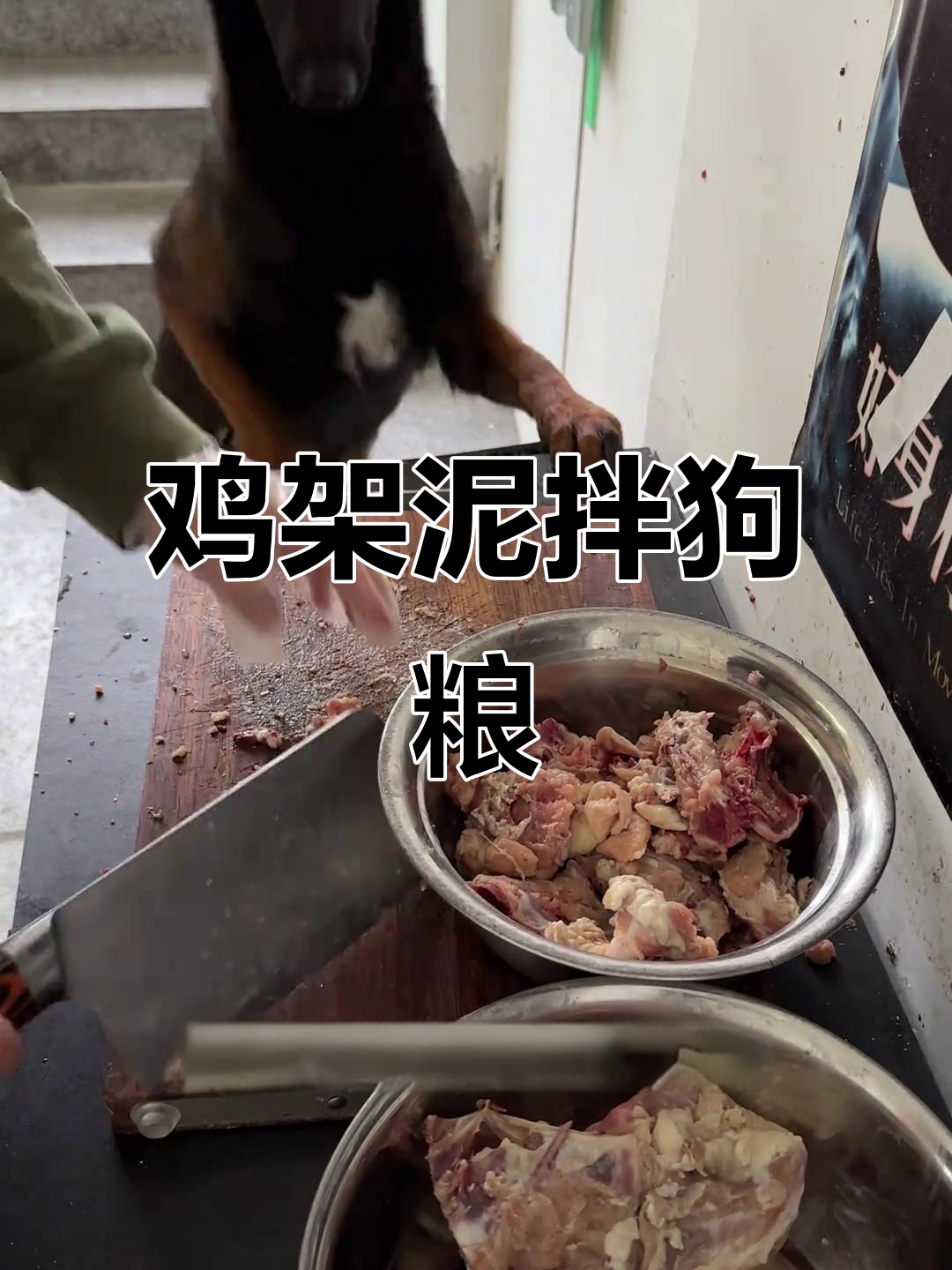 自制狗饭:鸡架打泥拌狗粮,大型犬吃得超开心