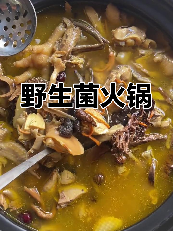 野生菌炖鸡汤的做法