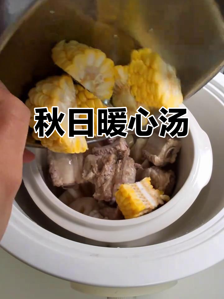 秋季滋补汤，山药莲藕排骨炖一锅，温暖又美味