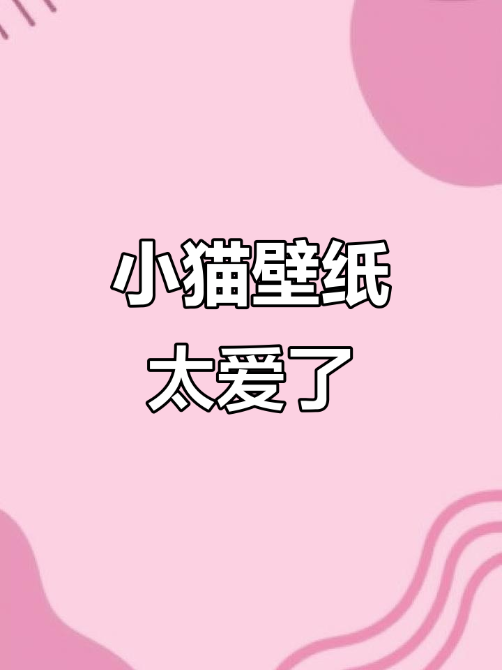 触感小猫壁纸,超爱!