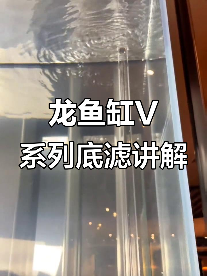 V系列龙鱼缸底滤设计全解析，强大性能让水质更清澈