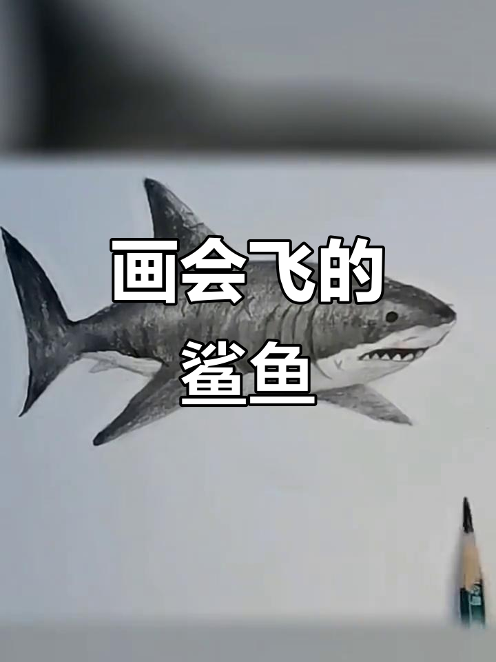 画出飞翔的鲨鱼，翅膀和尾巴都能飞