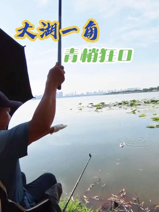大湖一角青稍翘嘴狂口,夏天更好钓的鱼