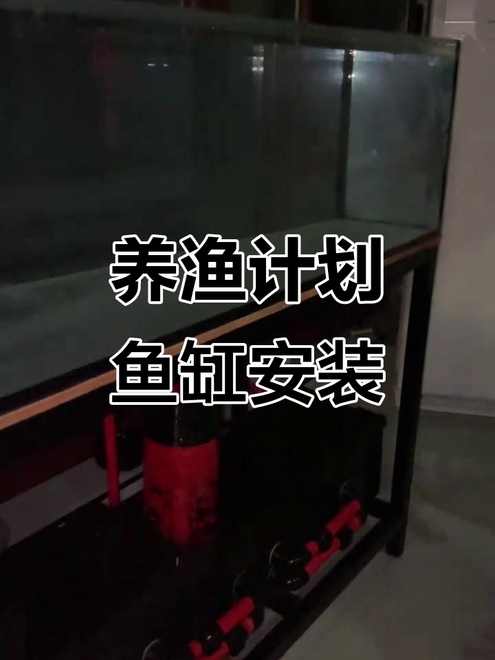 鱼缸组装全程实录:底滤、水泵与拉筋细节全解析