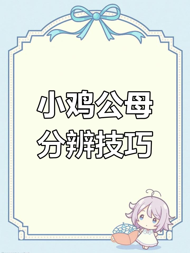 公母小鸡怎么分?一分钟学会翅膀辨别法