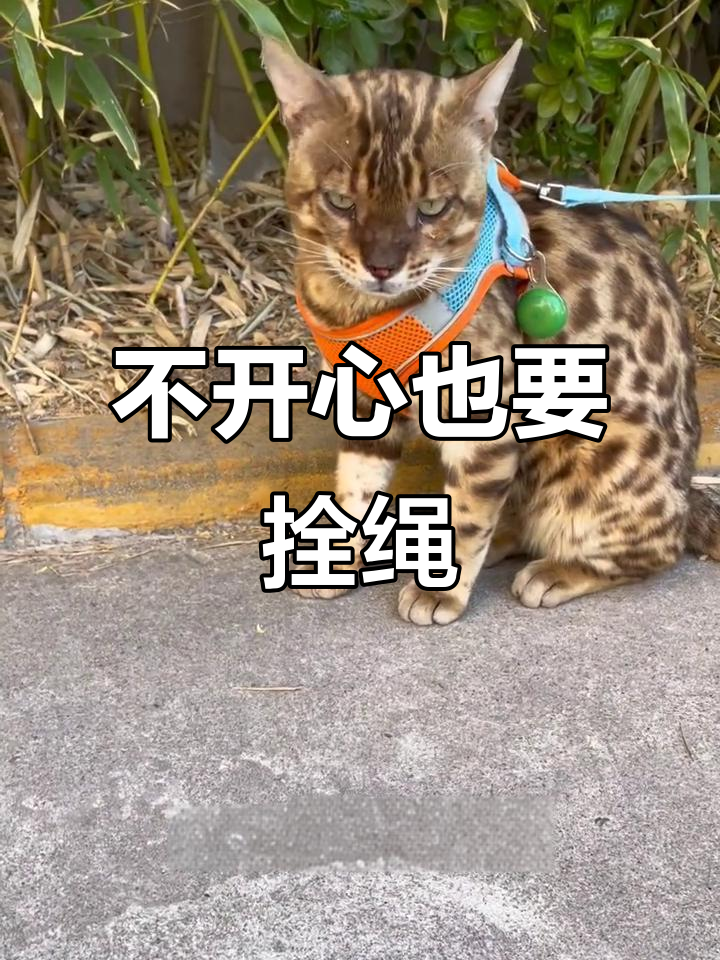 儿子不高兴被妈妈牵绳,委屈表情太可爱